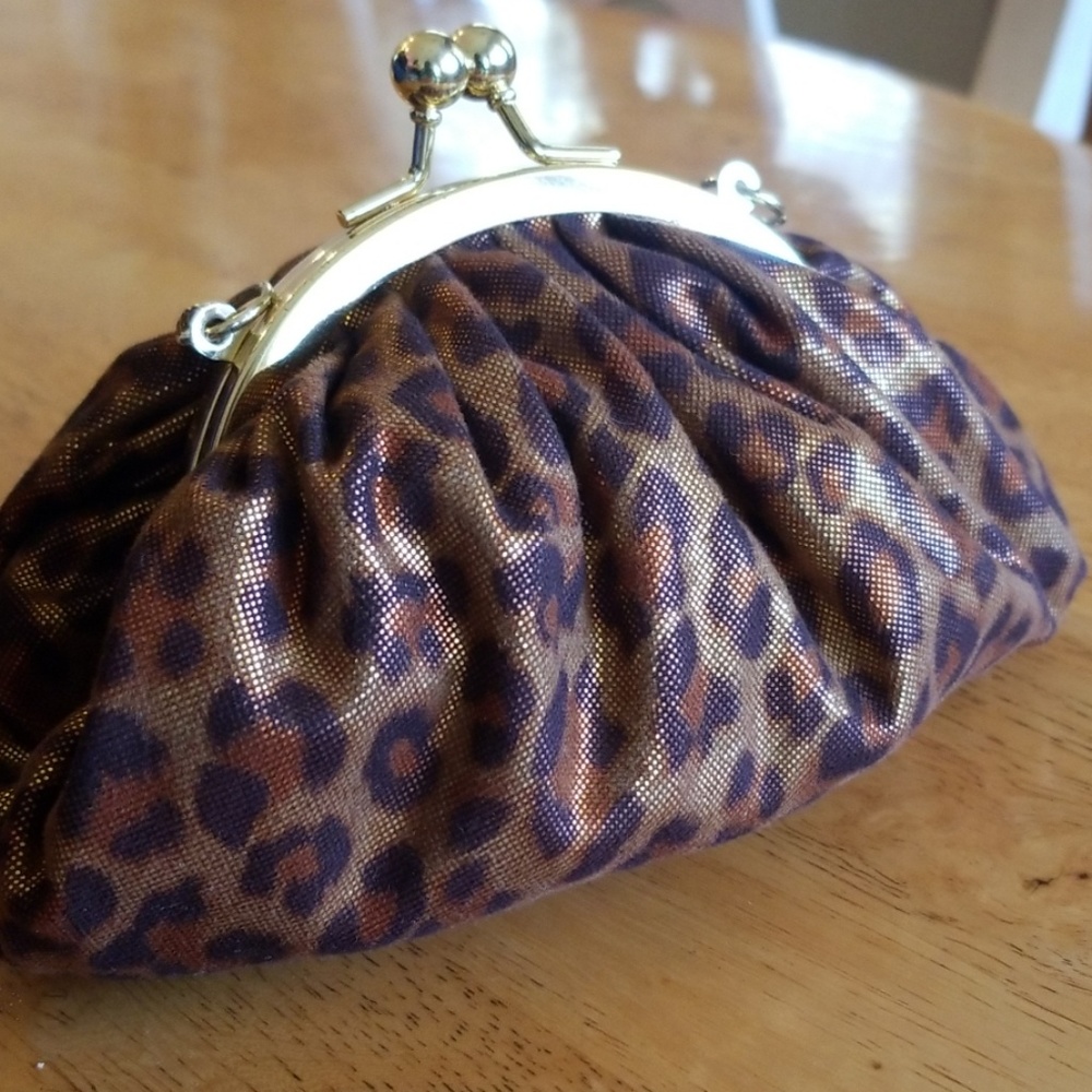 Chico's small purse